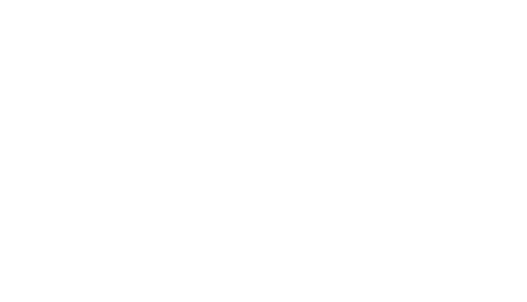 Addonis Logo